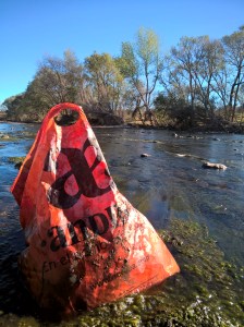 WP_20170225_09_41_41_Pro