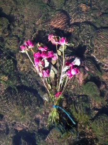 WP_20170225_09_53_13_Pro