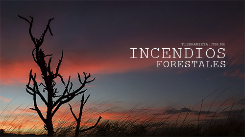 Incendios