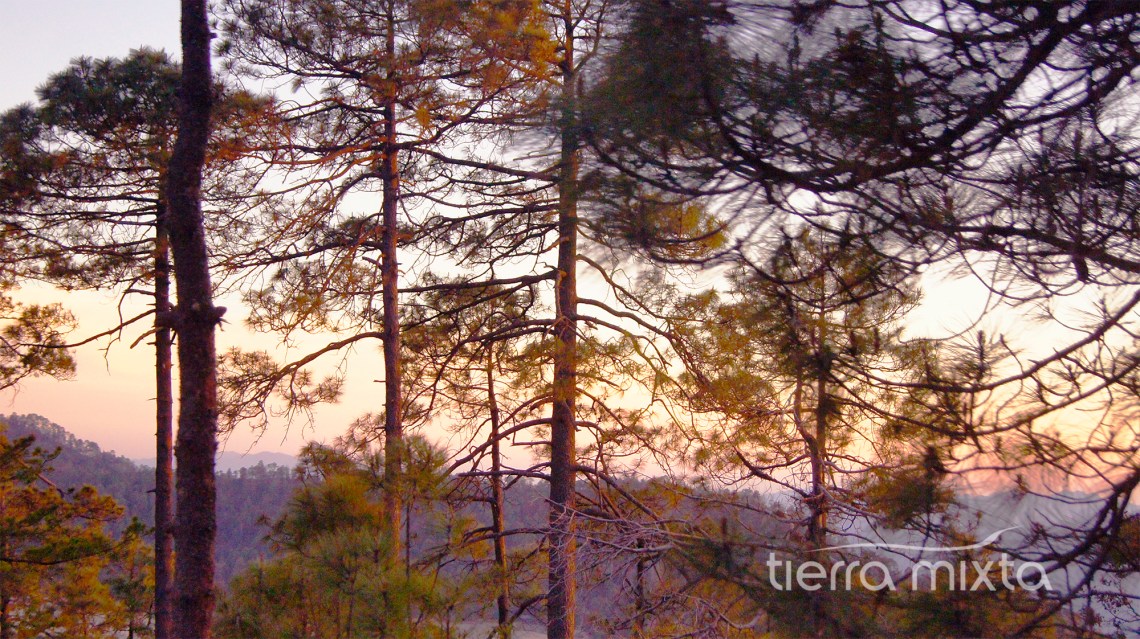 Minería Santiago Papasquiaro