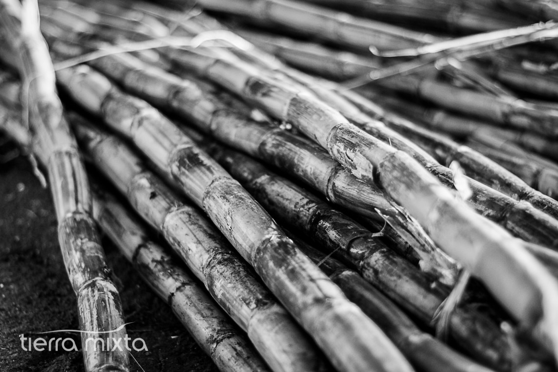 Panteones_TM_CH_21117 (2)