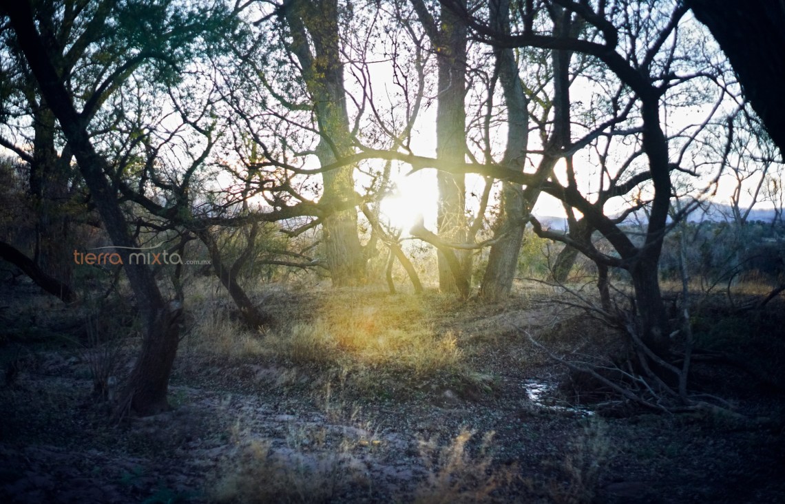 Paisaje _Ribera Rio Santiago Papasquiaro _Tierra Mixta_ CH_ 18.jpg