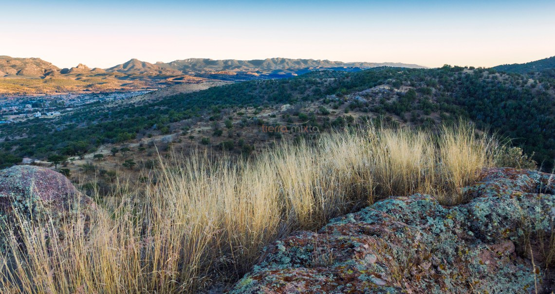 Paisaje Santiago Papasquiaro Sur _ Tierra Mixta _ CH.jpg