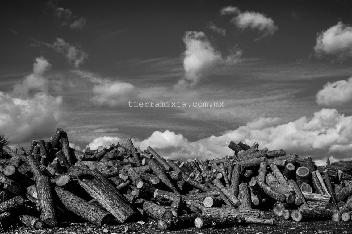 Forestal - Santiago Papasquiaro - Tierra Mixta - Cristian Herrera - 2018 TM