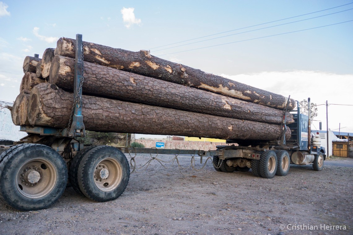Producción forestal Santiago Papasquiaro - Tierra Mixta - Cristian Herrera 2018