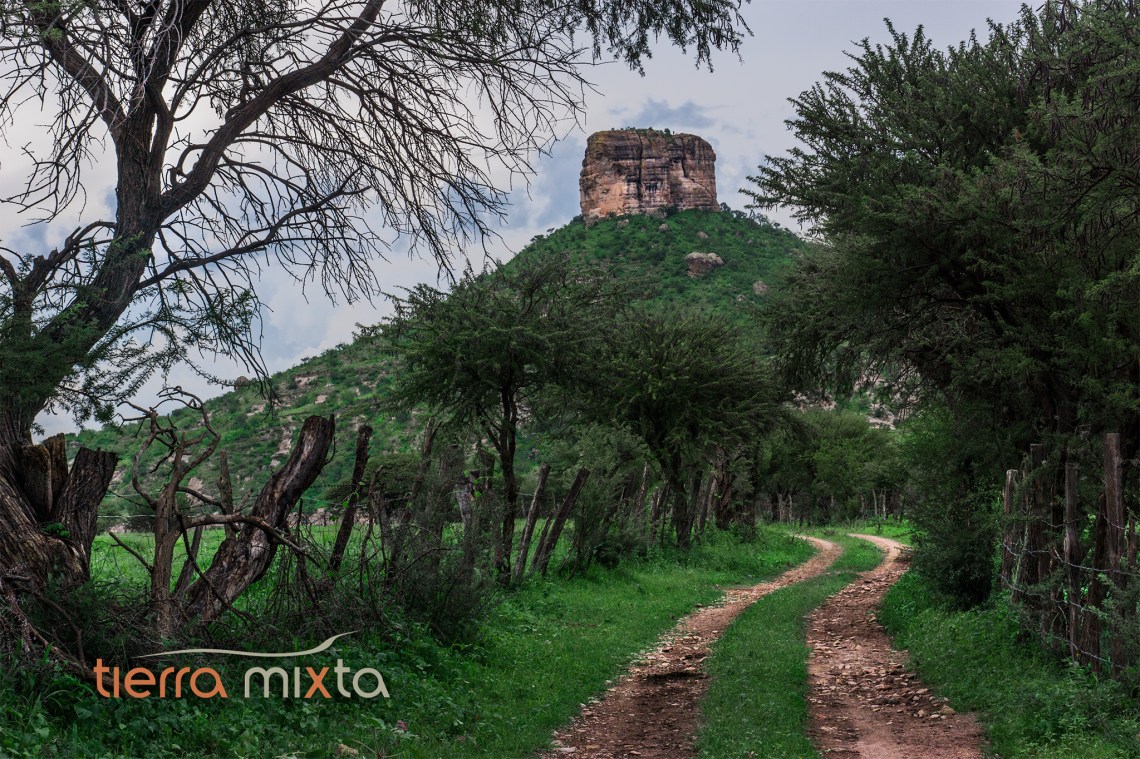 Agua Caliente Santiago Papasquiaro - Tierra Mixta - 2017 - Cristian Herrera (1)