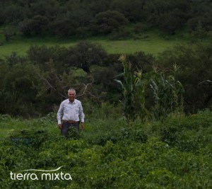 Agua Caliente Santiago Papasquiaro - Tierra Mixta - 2017 - Cristian Herrera (2)