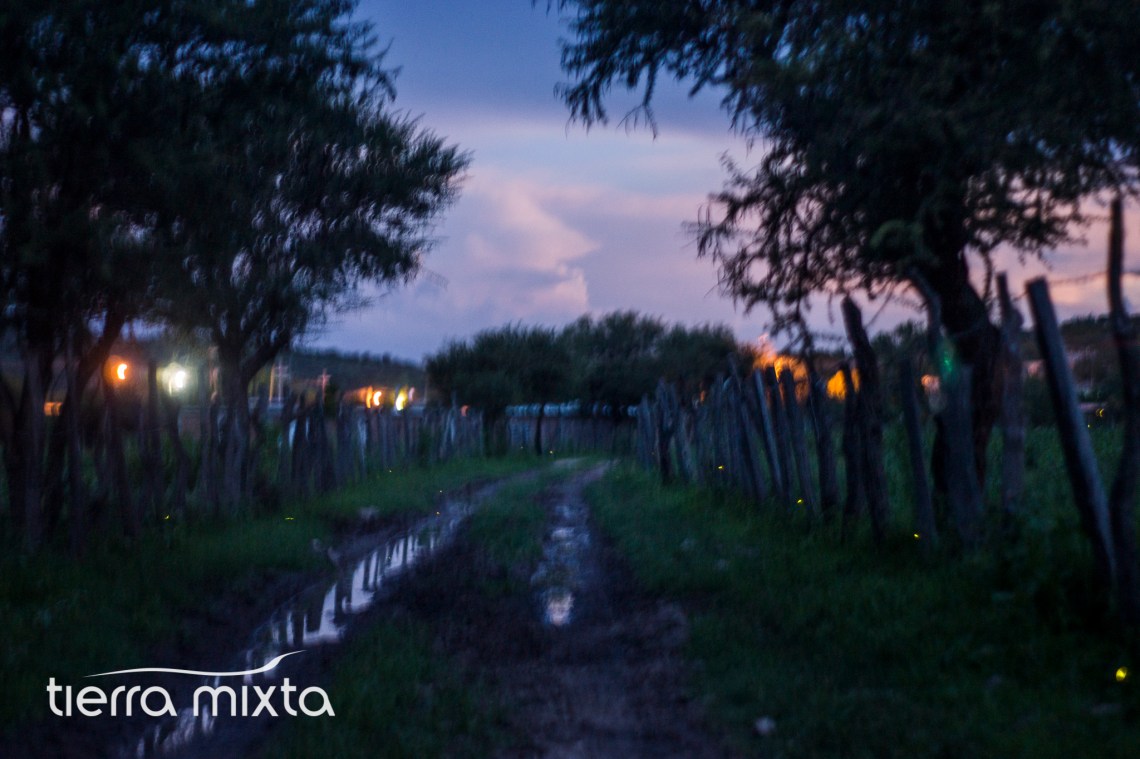 Agua Caliente Santiago Papasquiaro - Tierra Mixta - 2017 - Cristian Herrera (3)