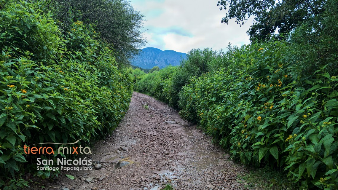 San Nicolás_Santiago Papasquiaro _ Tierra Mixta _ Cristian Herrera