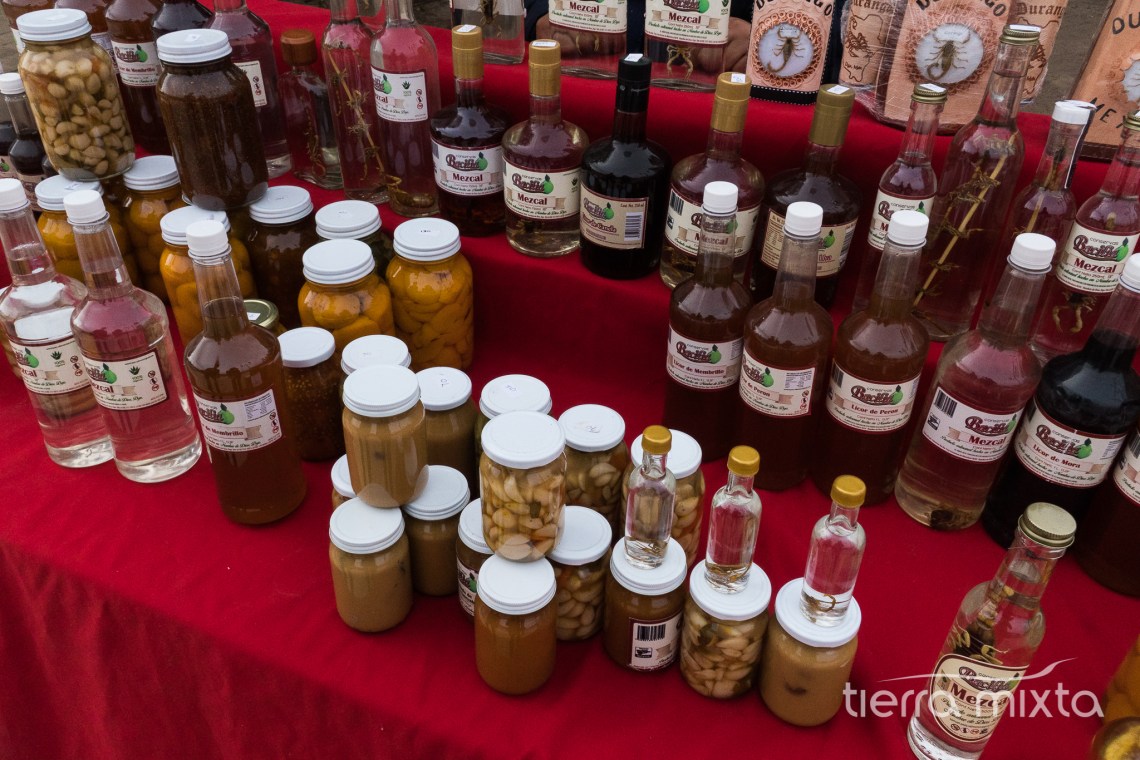 Nombre de Dios - Durango - Tierra Mixta - Cristian Herrera (4)