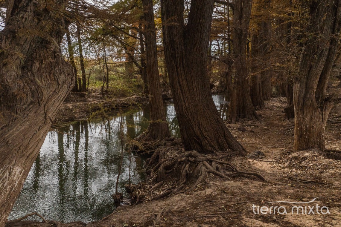 Nombre de Dios - Durango - Tierra Mixta - Cristian Herrera (8)