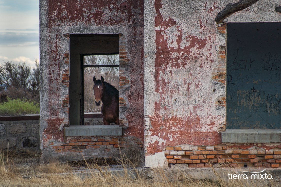 la soledad - canatlán - durango - tierra mixta cristian herrera - 2019 (2)