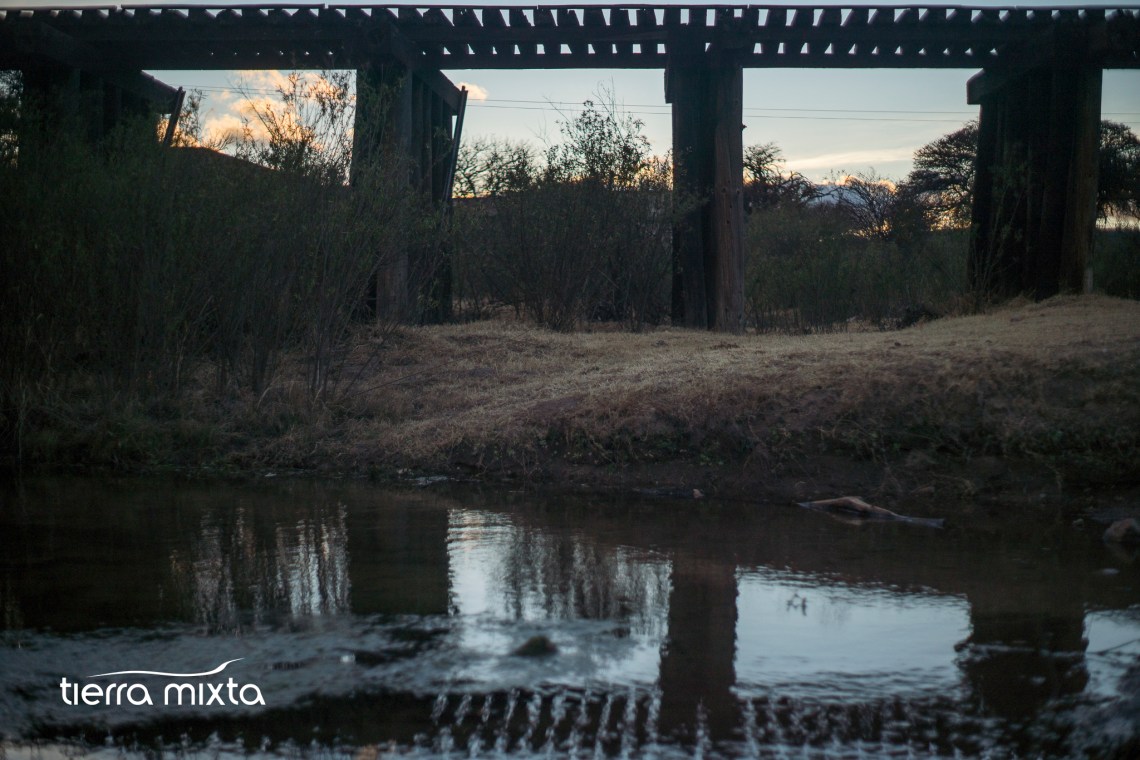 los pinos _ canatlán durango - tierra mixta - cristian herrera - 2019 - pecda (2)