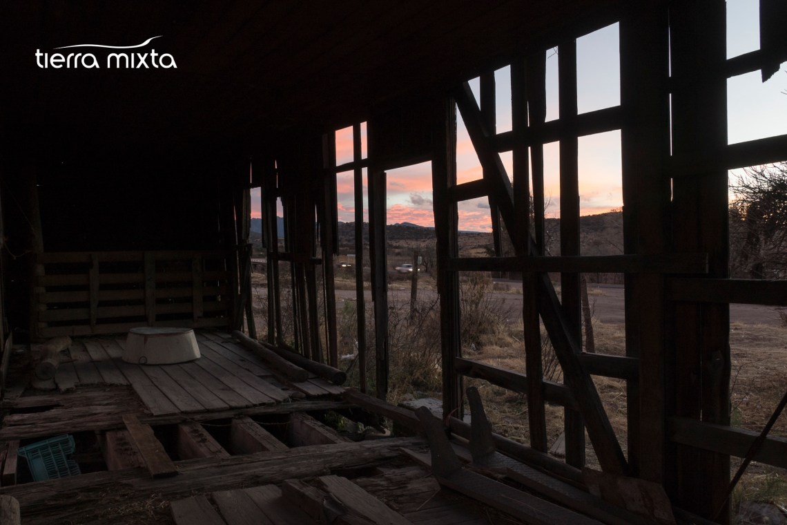 los pinos _ canatlán durango - tierra mixta - cristian herrera - 2019 - pecda (3)