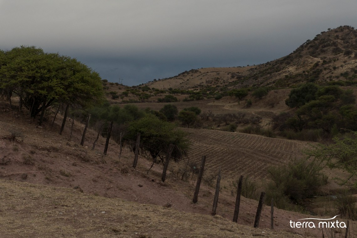 Francisco Javier Leyva _ Santiago Papasquiaro _ Los pueblos del tren _ Cristian Herrera _ PECDA Durango (4)