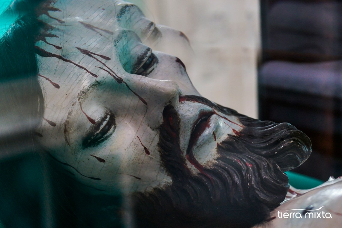 La Sauceda _ Divino Pastor _ Tierra Mixta 2019