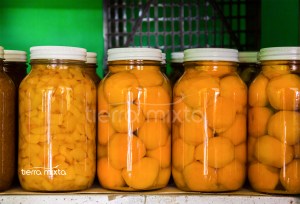 Pueblos _ Ventajas _ Cerro zapato_ Santiago Papasquiaro _ TM 2019 3