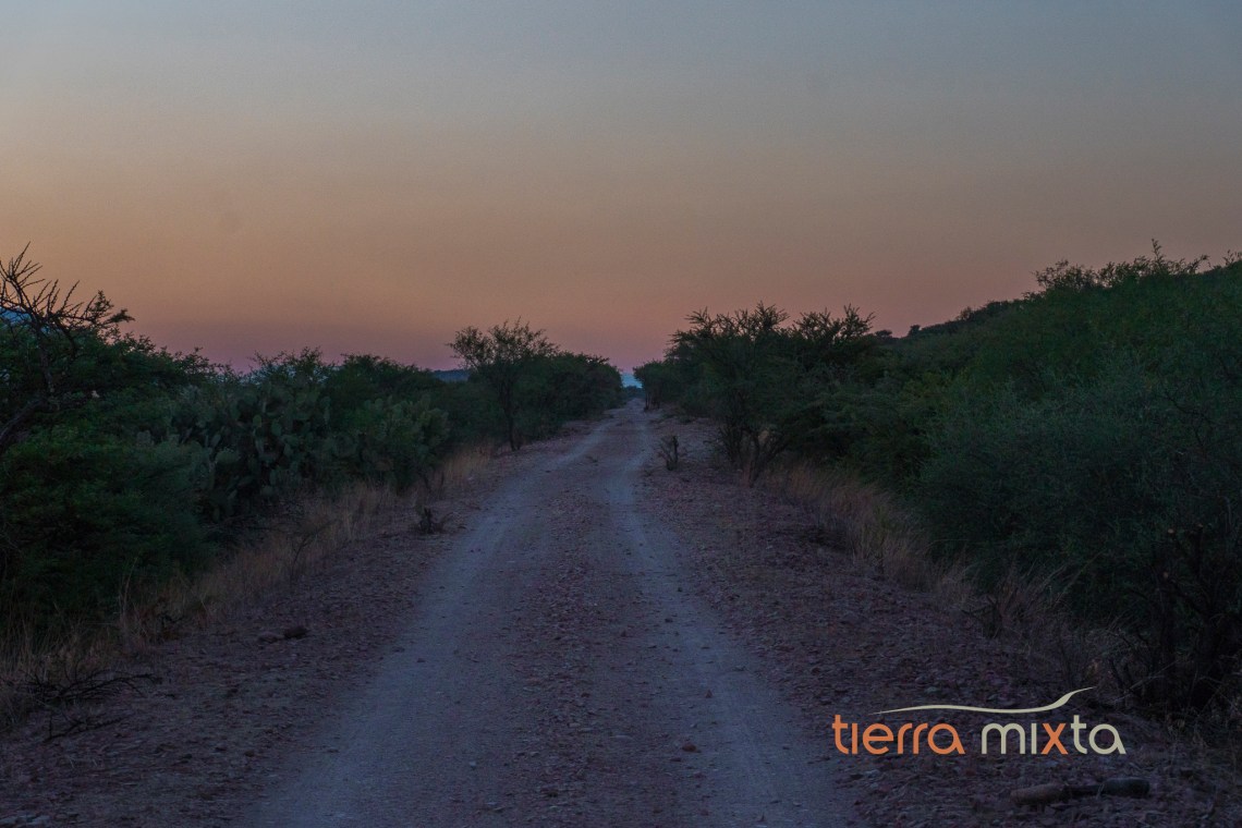 Corrales - Tepehuanes - Los pueblos del tren VII - Tierra Mixta - Cristian Herrera (3)