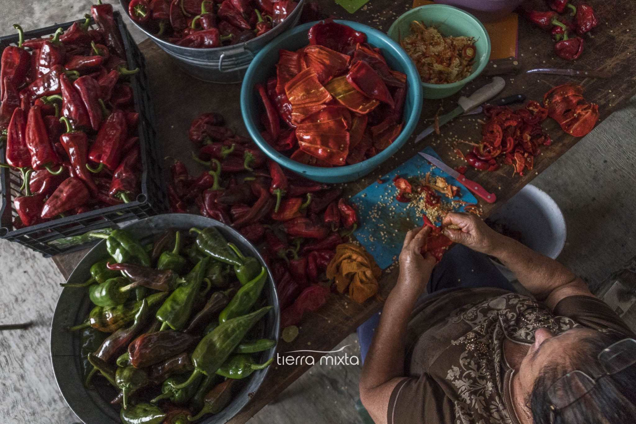 Chile pasado _ Durango _ Tierra Mixta _Cristian Herrera 2020 (1)