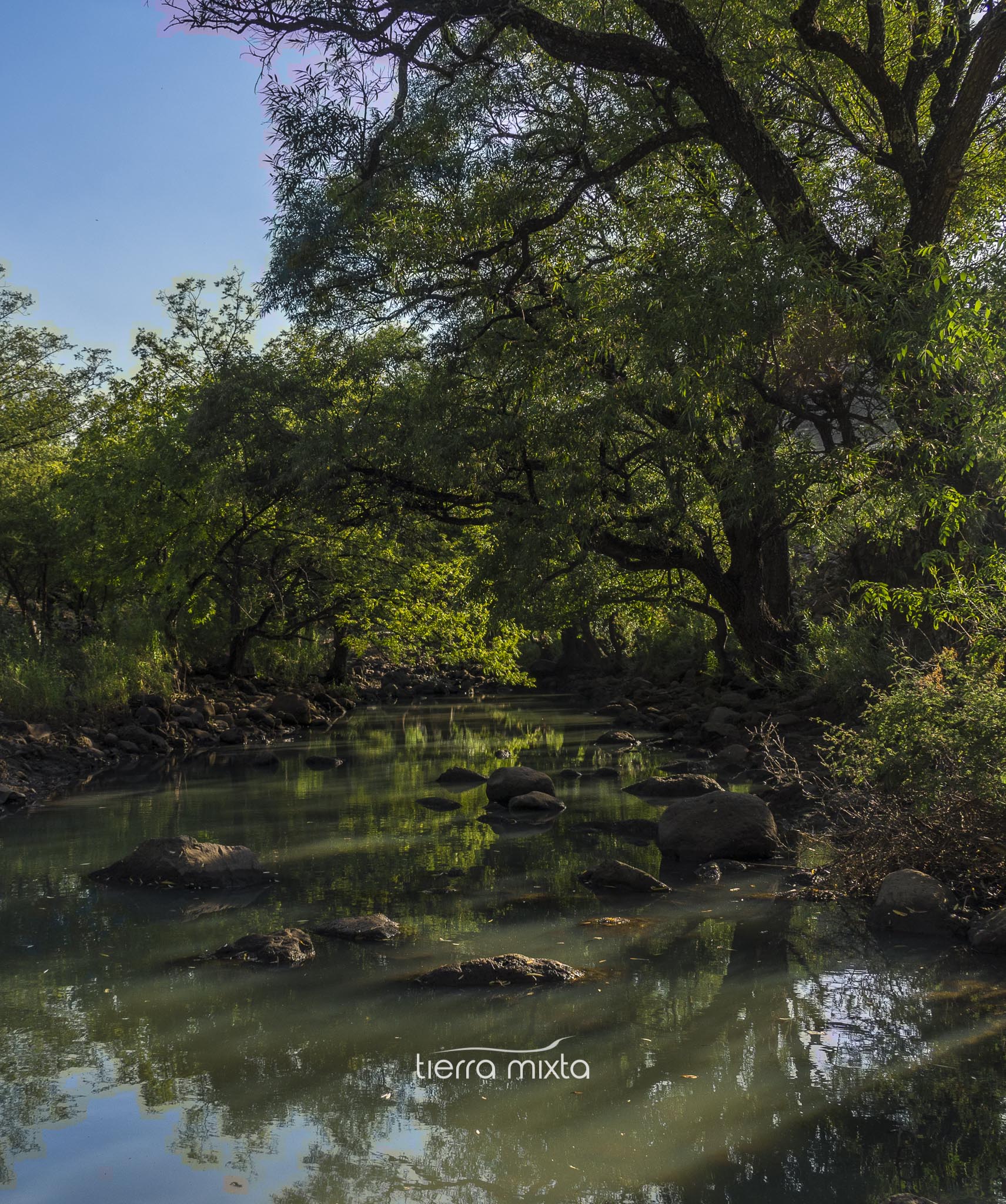 Tejamen _ Tierra Mixta _ Cristian Herrera _2020 (36)